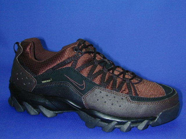 Nike Takao Low Gtx 0