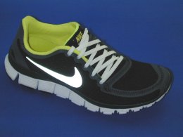 NIKE WMNS NIKE FREE 5.0 V4 354751 011